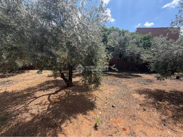Terreno en venta en Linares, Andalucía