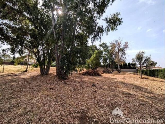 Terreno en venta en Linares, Andalucía