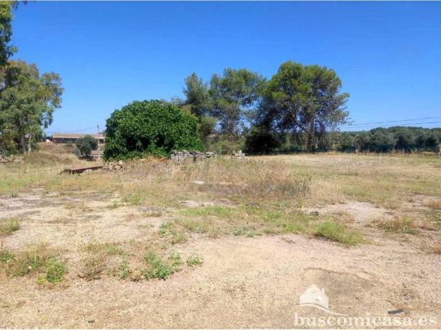 Terreno en venta en Linares, Andalucía