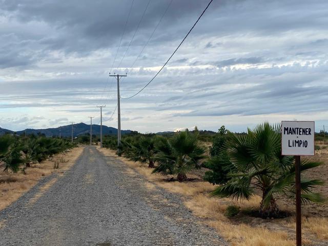 Terreno en Venta en Linares
