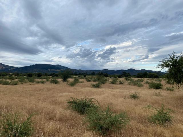 Terreno en Venta en Linares