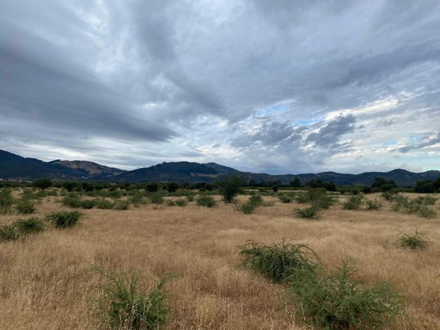Terreno en Venta en Linares