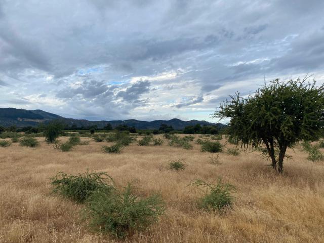 Terreno en Venta en Linares