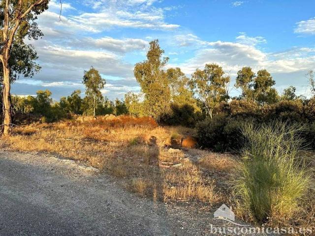 Terreno en venta en Linares, Andalucía