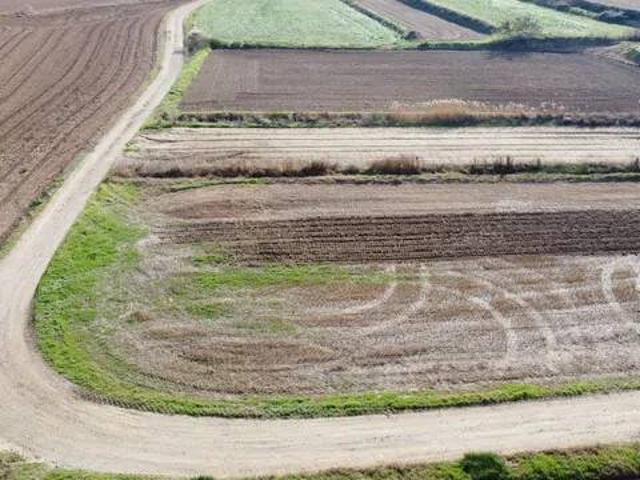 Terreno en venta en Pla d'Urgell, Catalunya