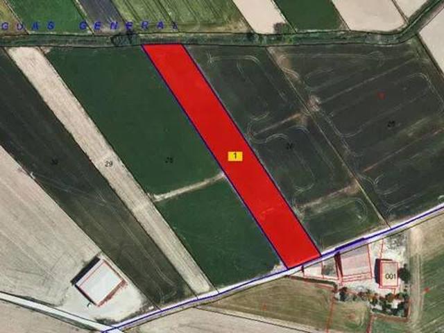 Terreno en venta en Pla d'Urgell, Catalunya