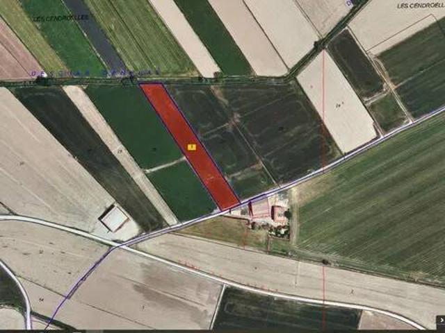 Terreno en venta en Pla d'Urgell, Catalunya