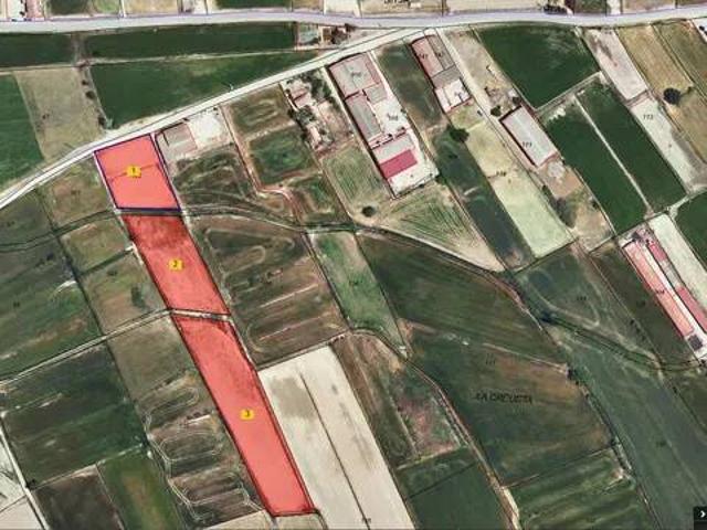 Terreno en venta en Pla d'Urgell, Catalunya