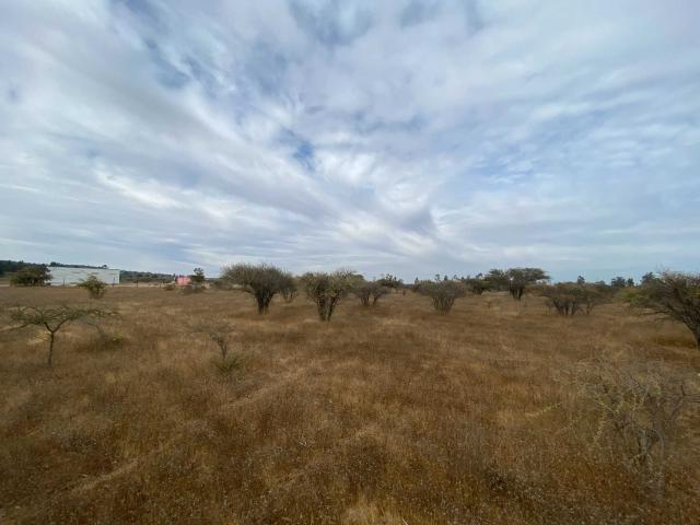 Terreno en venta en San Fernando, Libertador General Bernardo O'higgins