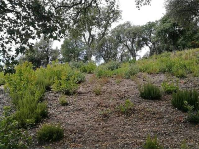 Terreno en venta en Gironès, Catalunya