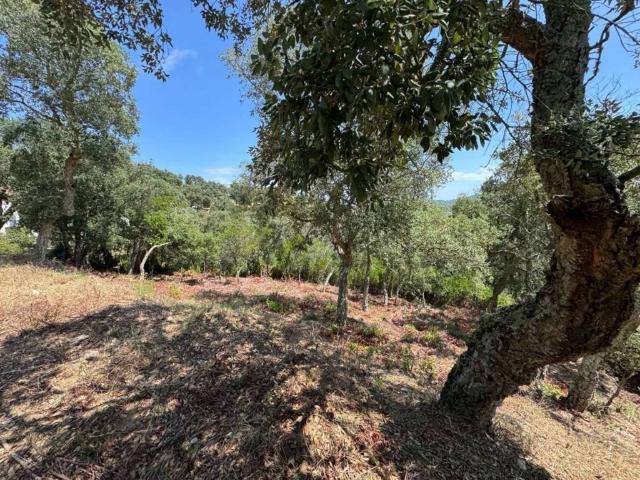 Terreno en venta en Gironès, Catalunya