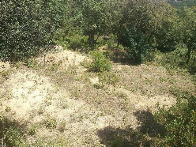 Terreno en venta en Gironès, Catalunya