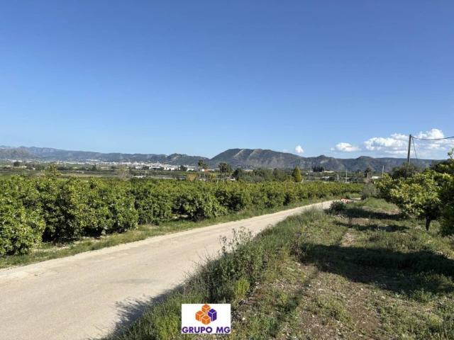 Terreno en venta en la Costera, Valencia