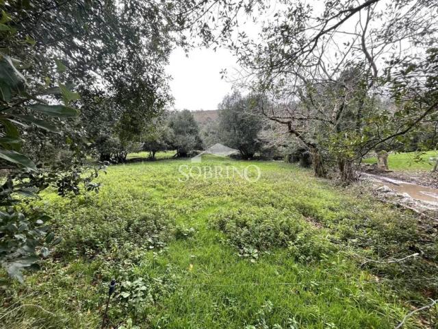 Terreno en venta en Villaḥormes, Llanes