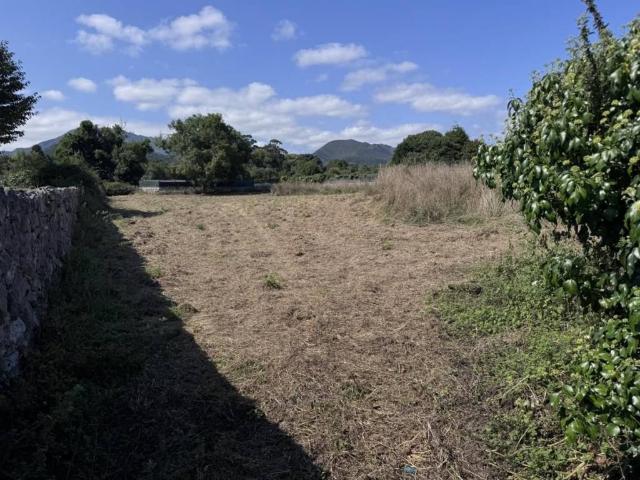 Terreno en venta en Llanes, Asturias