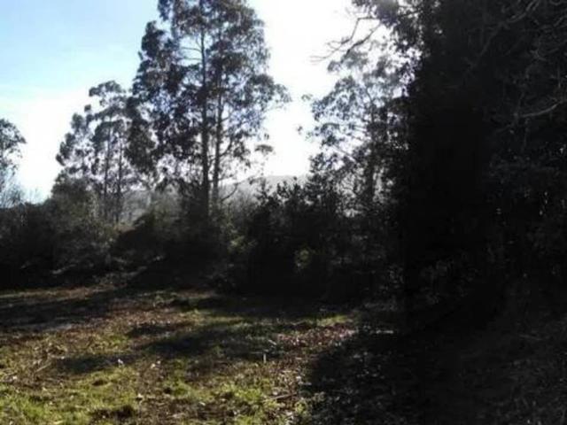 Terreno en venta en Llanes, Asturias