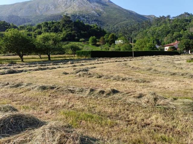 Terreno en venta en Llanes, Asturias