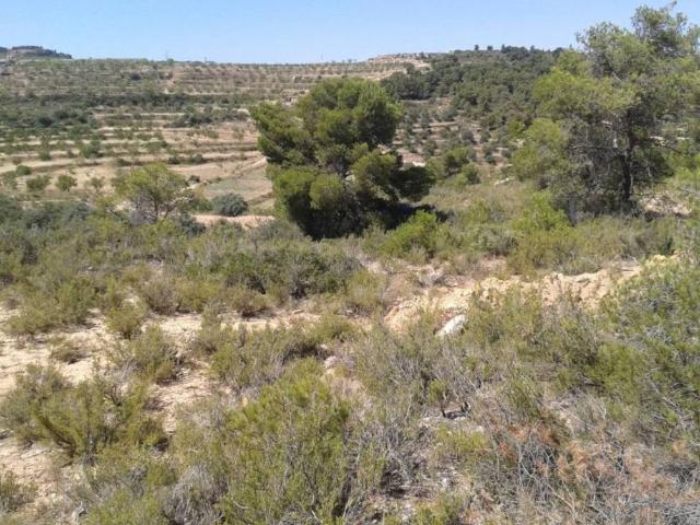 Terreno en venta en Llardecans, Lleida