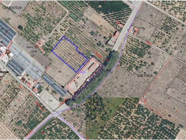 Terreno en venta en la Ribera Baixa, Valencia