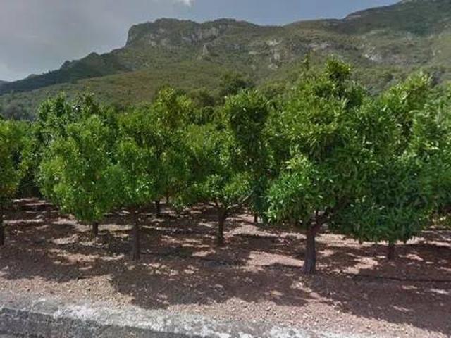Terreno en venta en la Ribera Baixa, Valencia