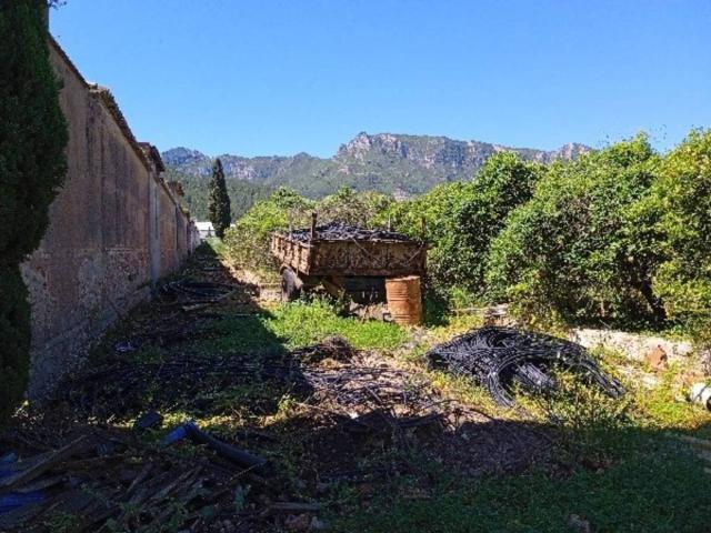 Terreno en venta en la Ribera Baixa, Valencia
