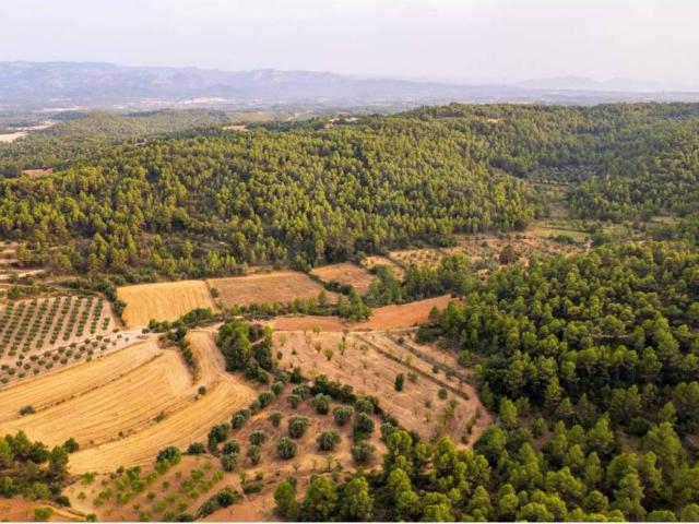 Terreno en venta en Matarraña / Matarranya, Lledó