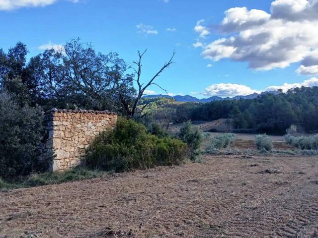 Terreno en venta en Matarraña / Matarranya, Lledó