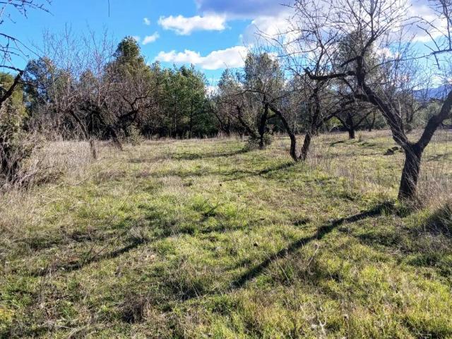 Terreno en venta en Matarraña / Matarranya, Lledó