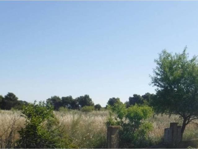 Terreno en venta en Segrià, Catalunya