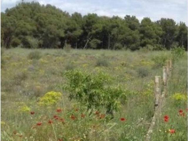 Terreno en venta en Segrià, Catalunya