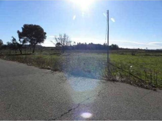 Terreno en venta en Segrià, Catalunya