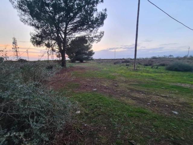 Terreno en venta en Lleida