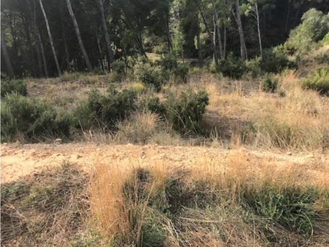 Terreno en venta en Segrià, Catalunya