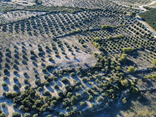 Terreno en venta en Garrigues, Catalunya