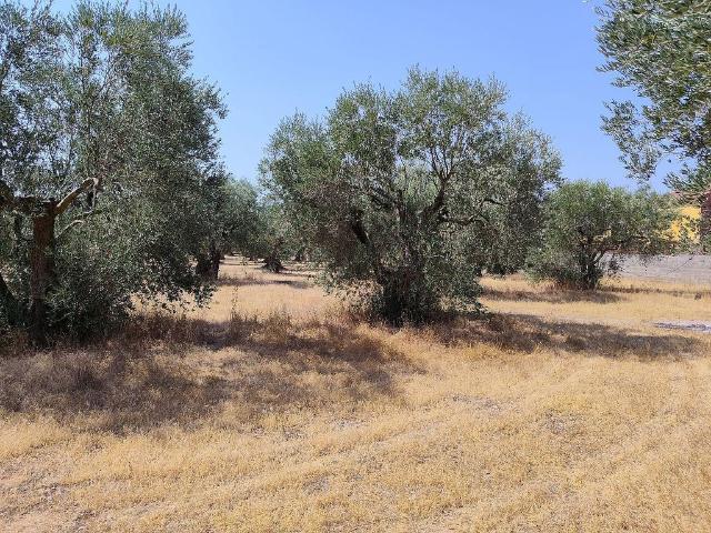 Terreno en venta en Alt Empordà, Catalunya