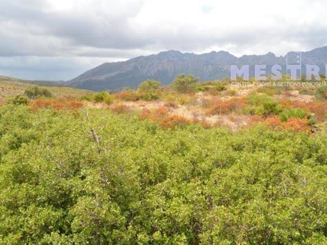 Terreno en venta en Llíber