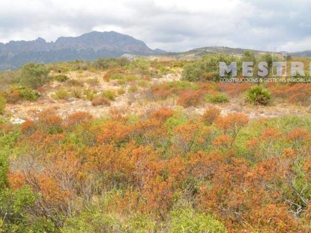 Terreno en venta en la Marina Alta, Valencia