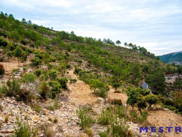 Terreno en venta en la Marina Alta, Valencia