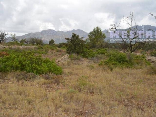 Terreno en venta en Llíber