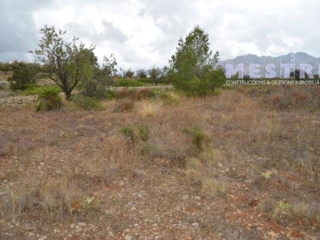 Terreno en venta en la Marina Alta, Valencia
