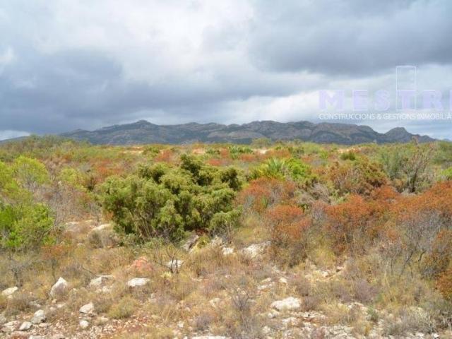 Terreno en venta en Llíber
