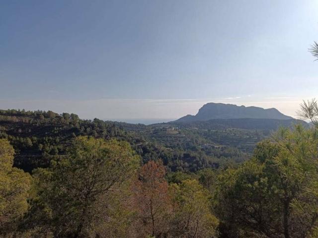 Terreno en venta en la Marina Alta, Valencia