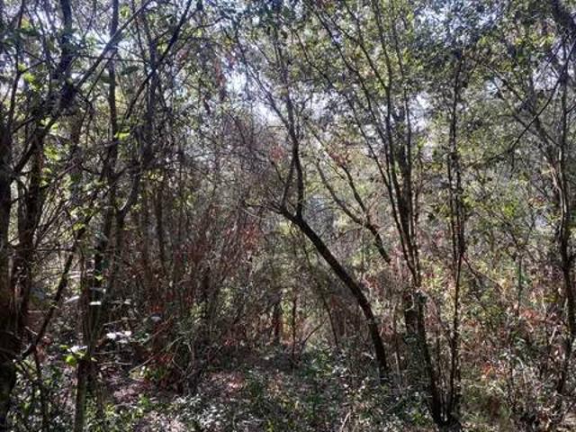 Terreno en venta en Vallès Oriental, Catalunya
