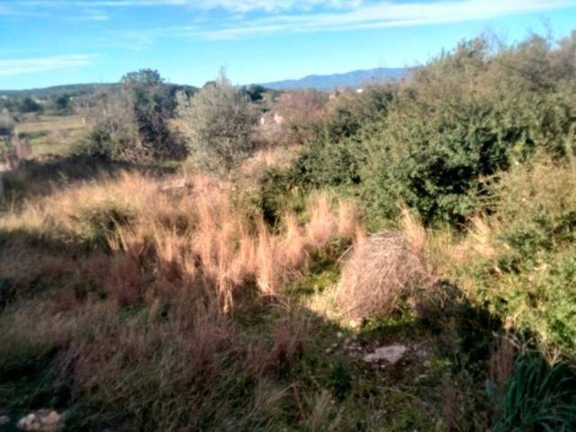 Terreno en venta en el Camp de Túria, Valencia