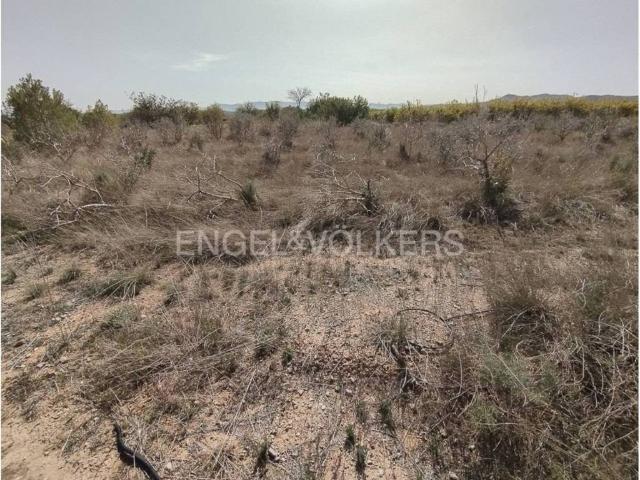 Terreno en venta en el Camp de Túria, Valencia