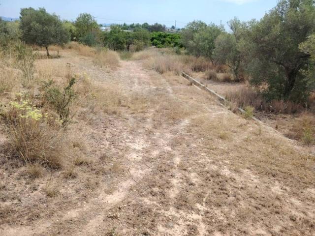 Terreno en venta en el Camp de Túria, Valencia