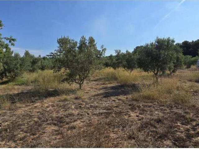Terreno en venta en el Camp de Túria, Valencia