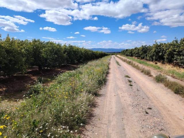 Terreno en venta en el Camp de Túria, Valencia