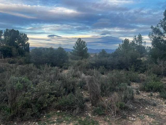 Terreno en venta en el Camp de Túria, Valencia