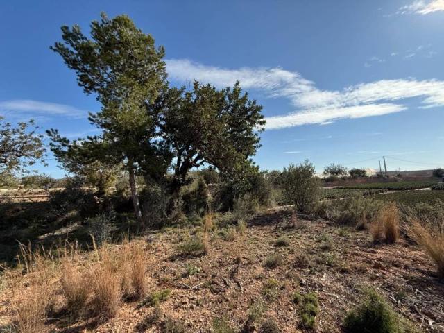 Terreno en venta en el Camp de Túria, Valencia